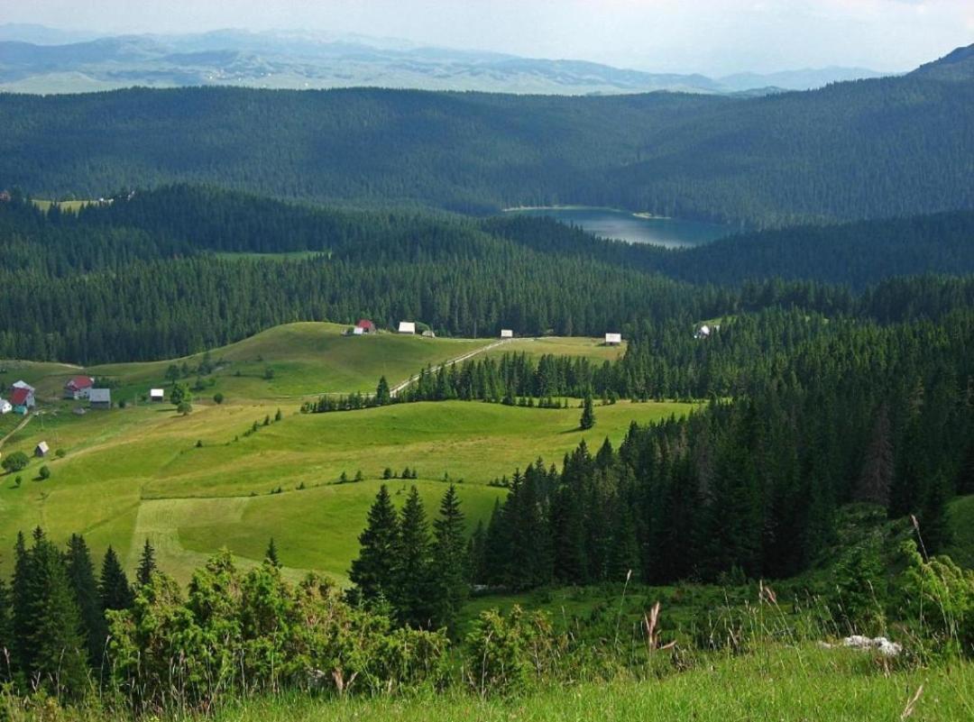 Cottage 1600 Bosaca Nikšić Exteriér fotografie